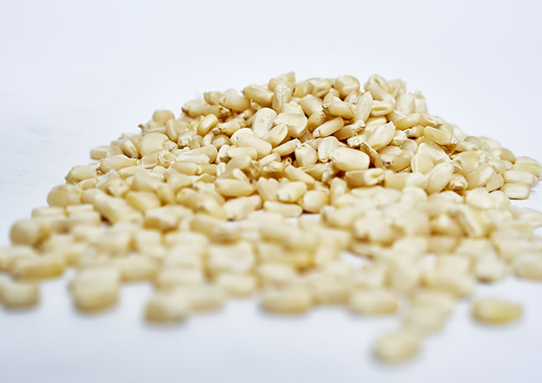 storage scaleoutstorage gartnerpeerinsights